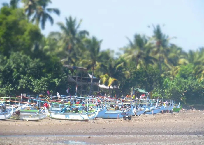 Kelapa Surf Mini-hôtel *